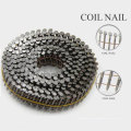 Neues Design Jumbo Coil Nail mit guter Qualität